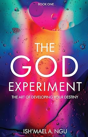 Cover of The God Experiment